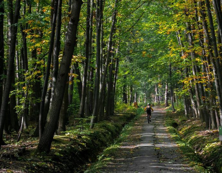 Le balcon - Itinéraire vtt et Cross-country n°7_Faverges-Seythenex