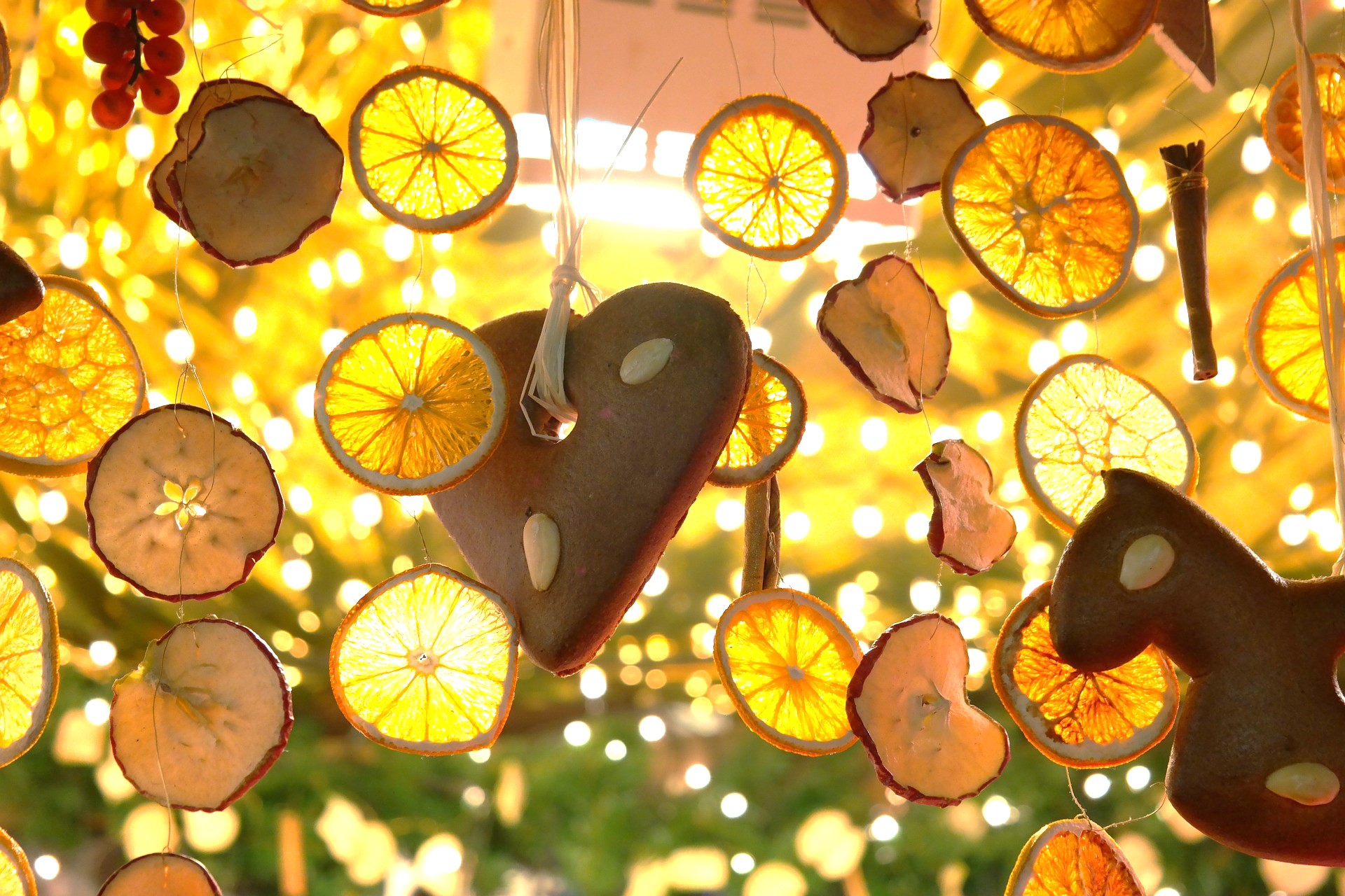 Noël sous la halle : marché de Noël de Montalieu-Vercieu