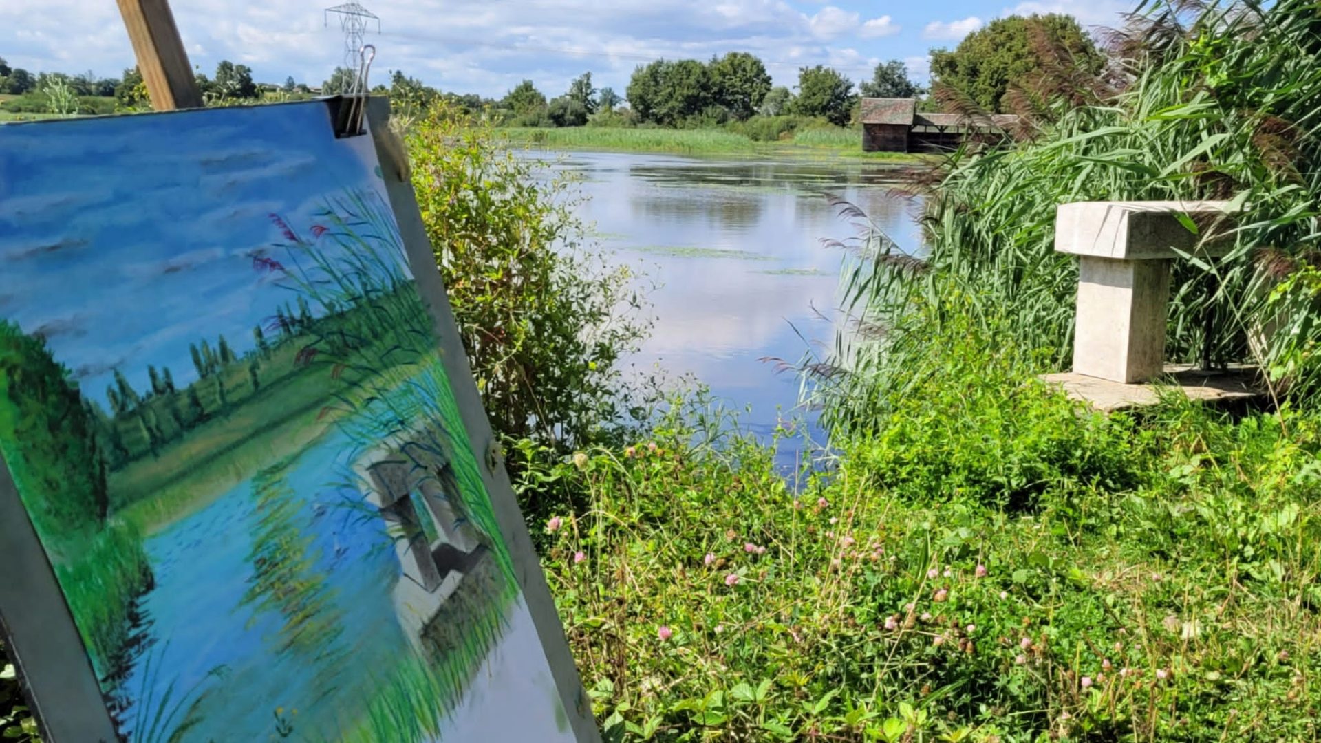 La Dombes se dessine