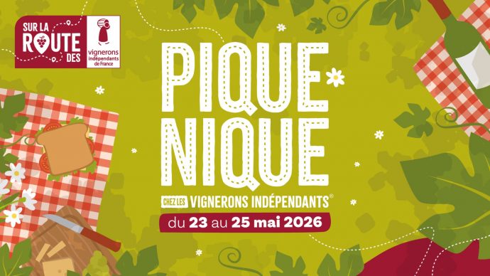 Pique-nique au domaine Jonchet Cécile_Villié-Morgon