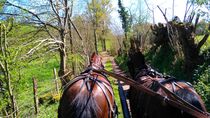 Les Vals du Dauphiné en attelage