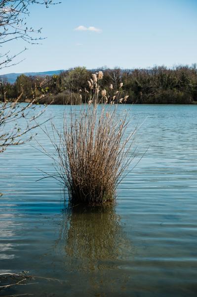 ENS la Save étangs de la Serre