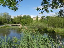 Etang du Mouchet