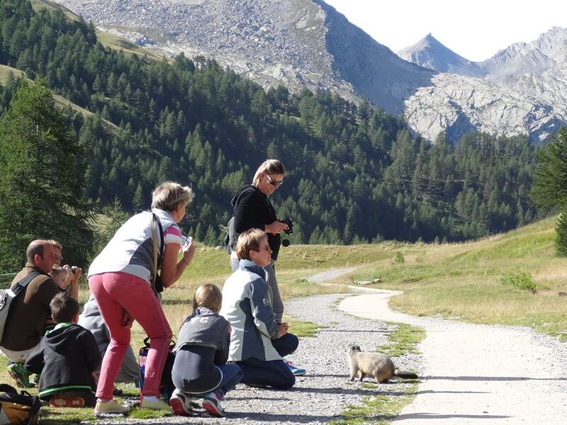rencontre 04400
