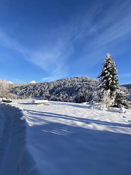 Devant le chalet-ferme