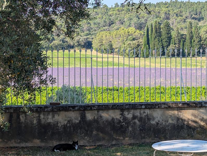 Domaine de Grangeneuve_Mondragon