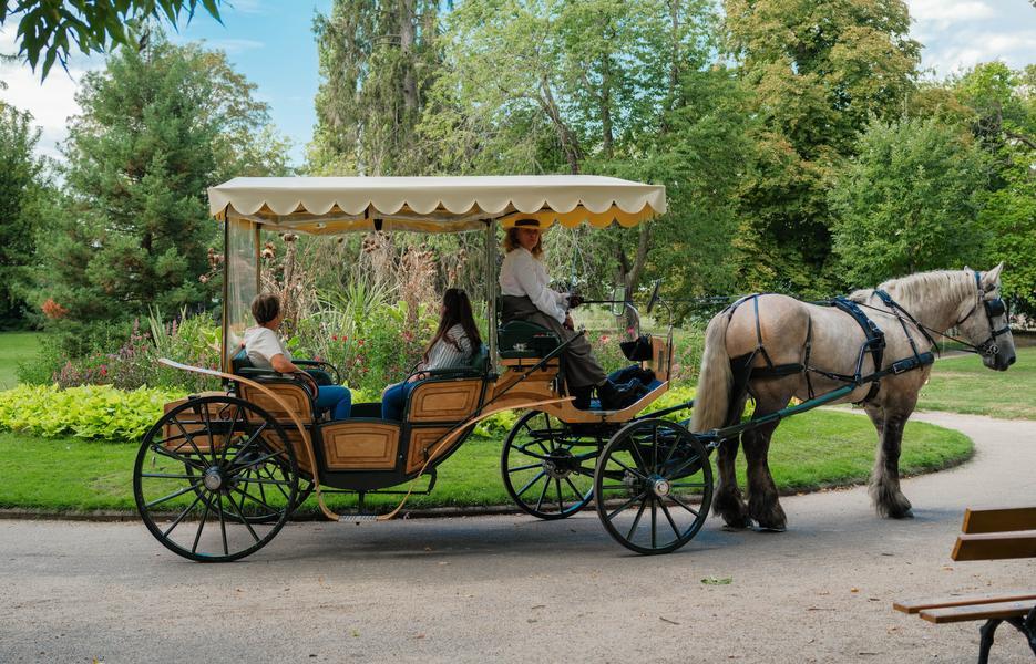 Visites comment&eacute;es en cal&egrave;che