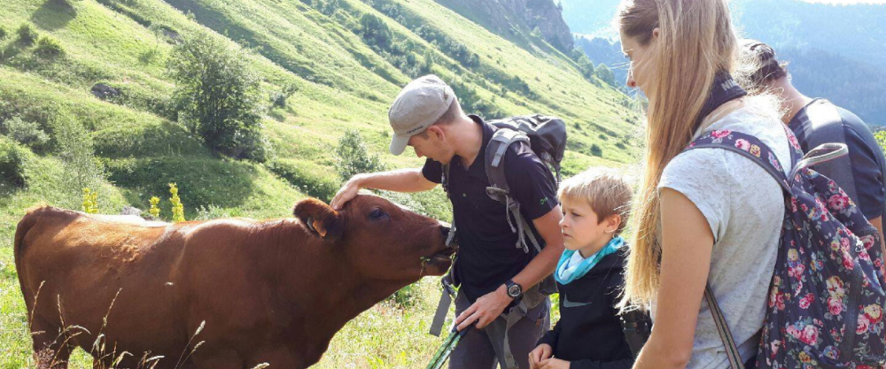 Randonnée pédestre