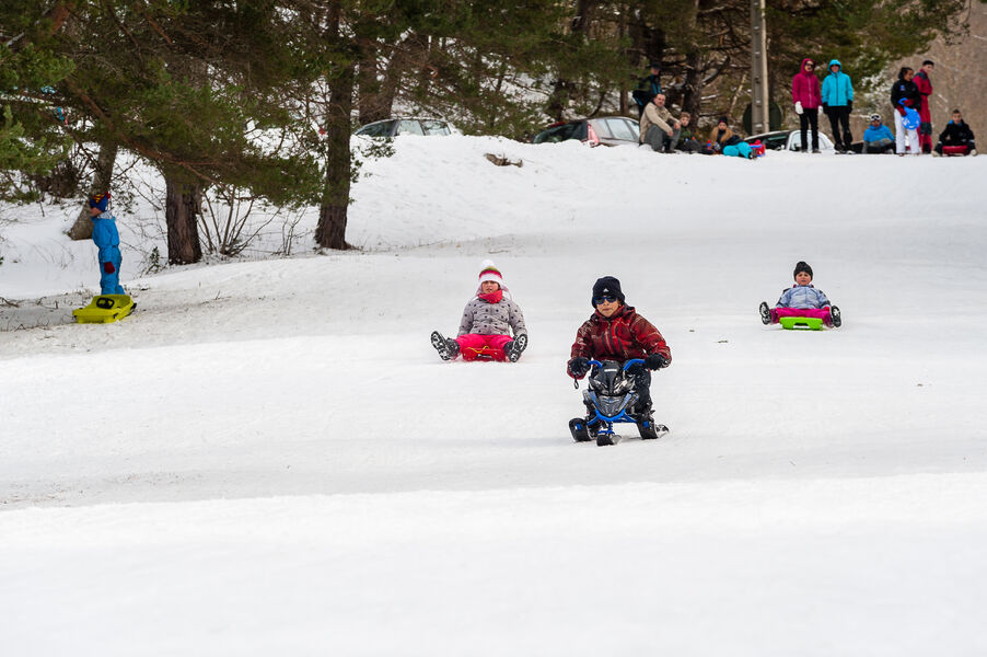 Piste luge Les Signaraux