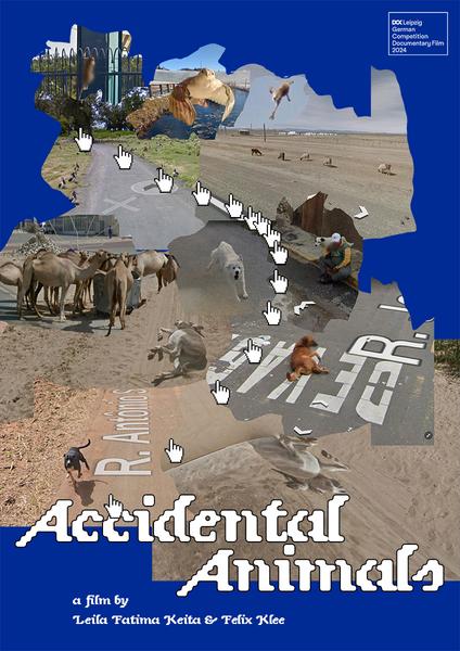 Affiche du film Accidental animals