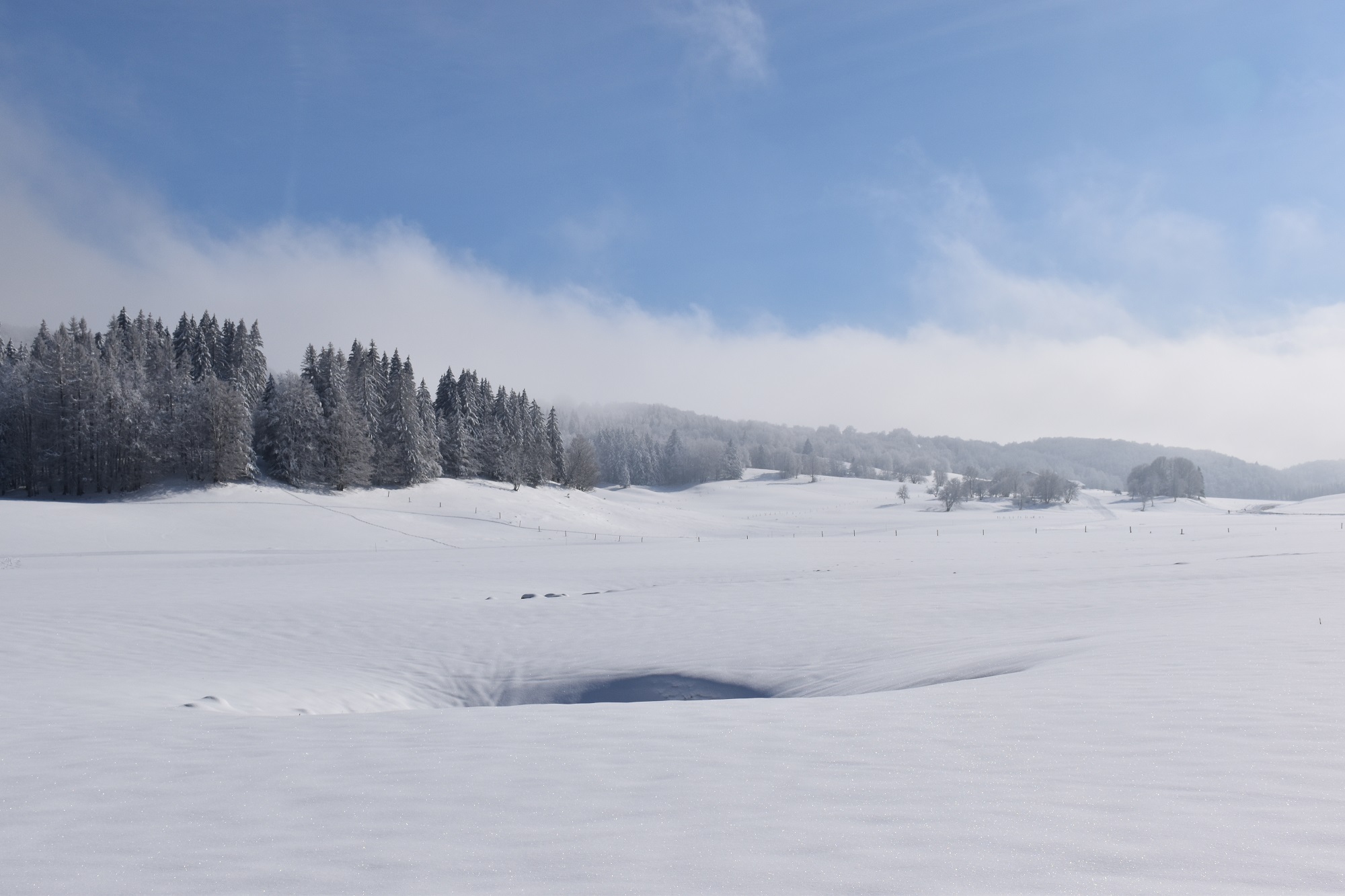 Piste verte de ski de fond du Plateau de Retord : La Vezeronce