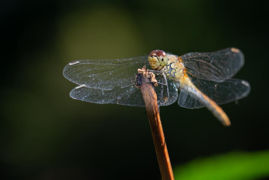 Empreinte de Nature_Bouray-sur-Juine