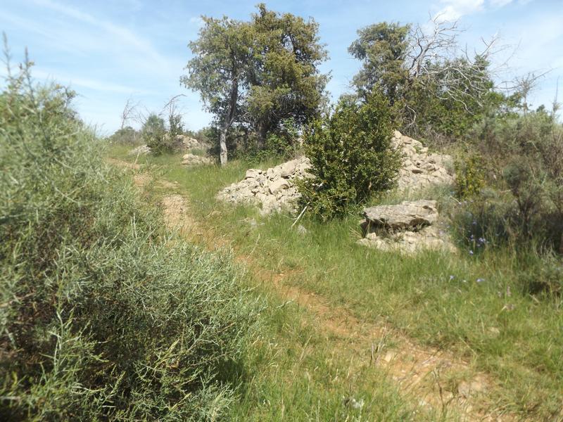 chemin sur le plateau des Gras