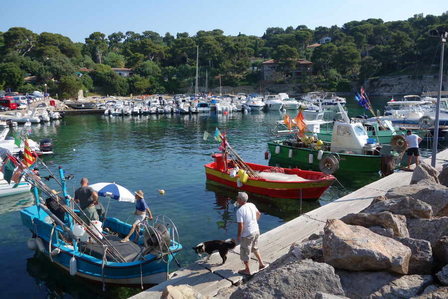 Le port du Niel à Giens