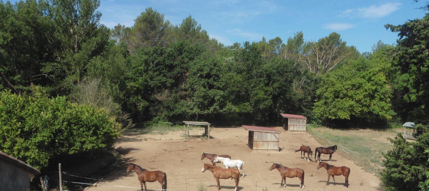 Le Pigeonnier, Meyrargues - photo 34