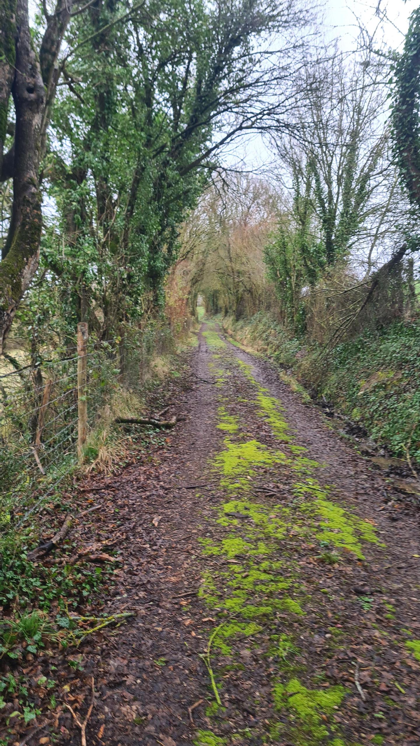 La vallée de la Trézence : une variété de paysage et de milieux à découvrir