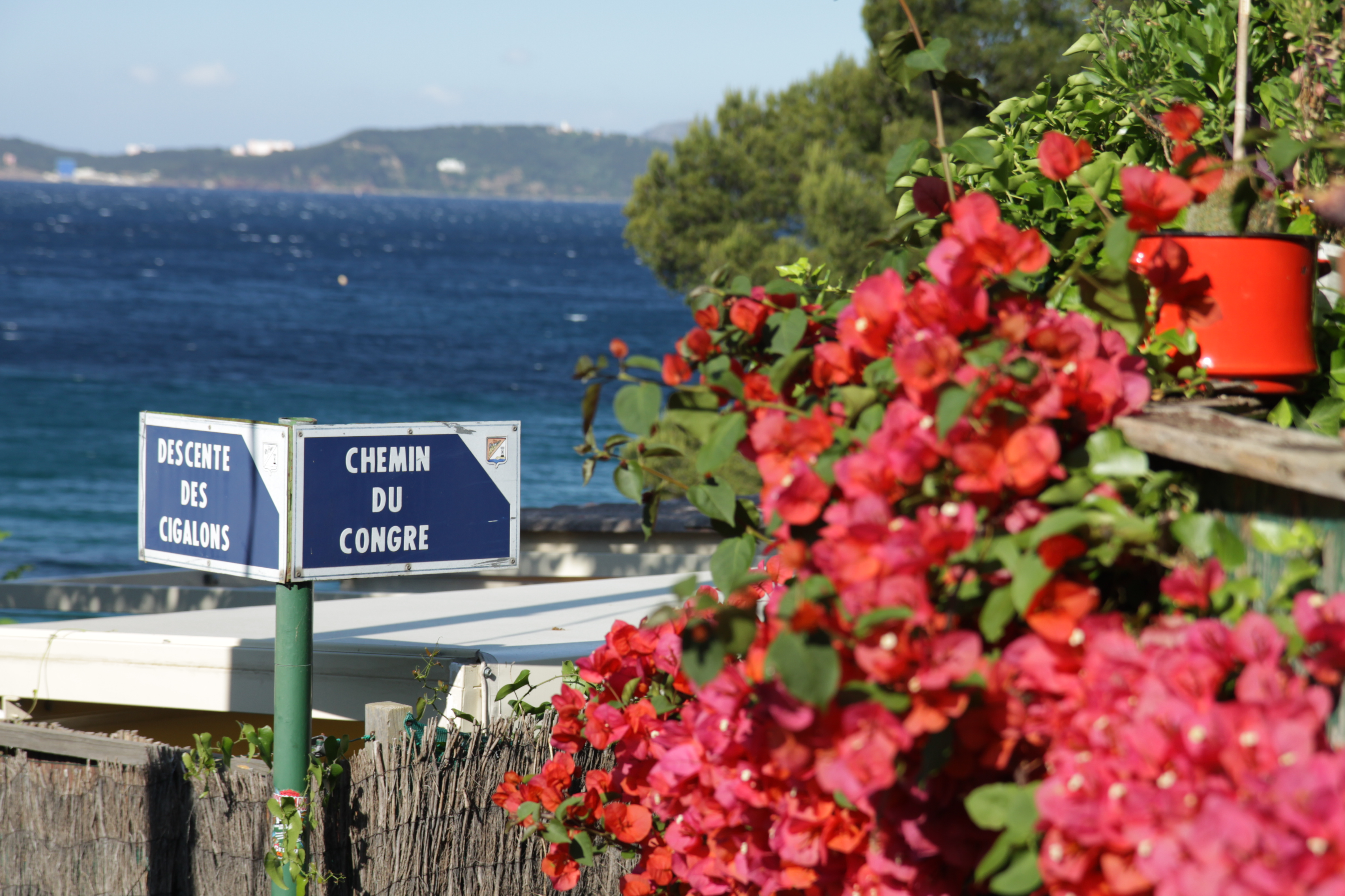 Campingplatz Le Pin de Galle (Le Pradet) | Provence-Alpes-Cte d'Azur  Tourismus