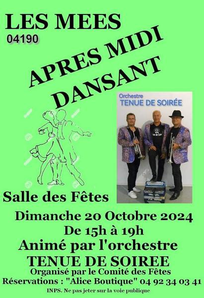 Après-midi dansante Le 20 oct 2024