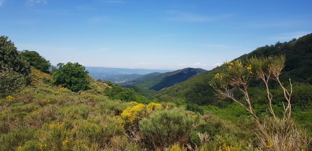 La Souche - Le Mont Aigu 2 ©M.Barkats