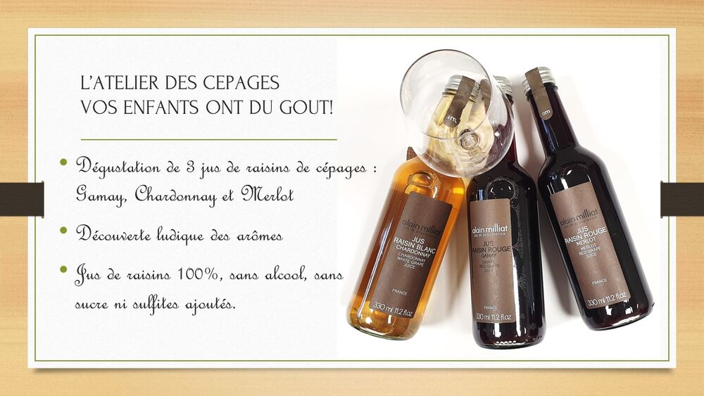 Château des Jacques à Romanèche-Thorins