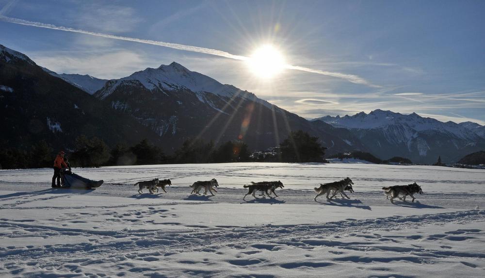 Baptême en chiens de traîneau avec Huksy Adventure