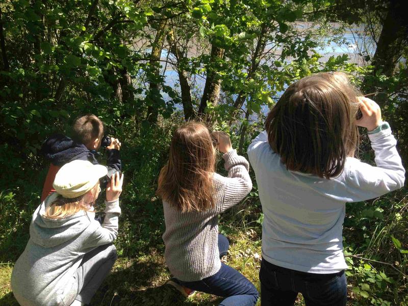 A vol d'oiseaux - Les RDV de la Nature_Saint-Just Saint-Rambert