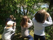 A vol d'oiseaux - Les RDV de la Nature_Saint-Just Saint-Rambert