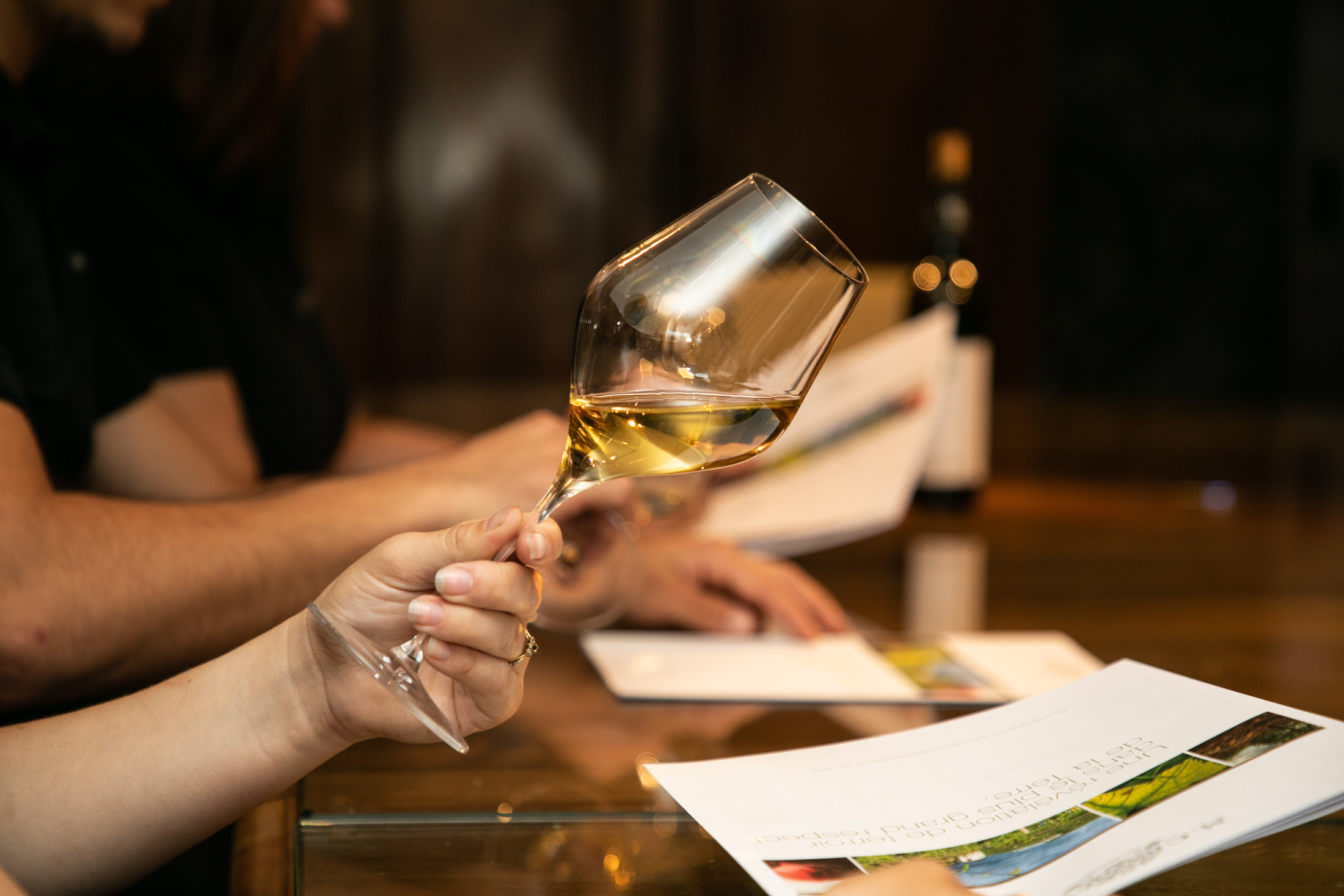 Dégustation à la maison CHAPOUTIER