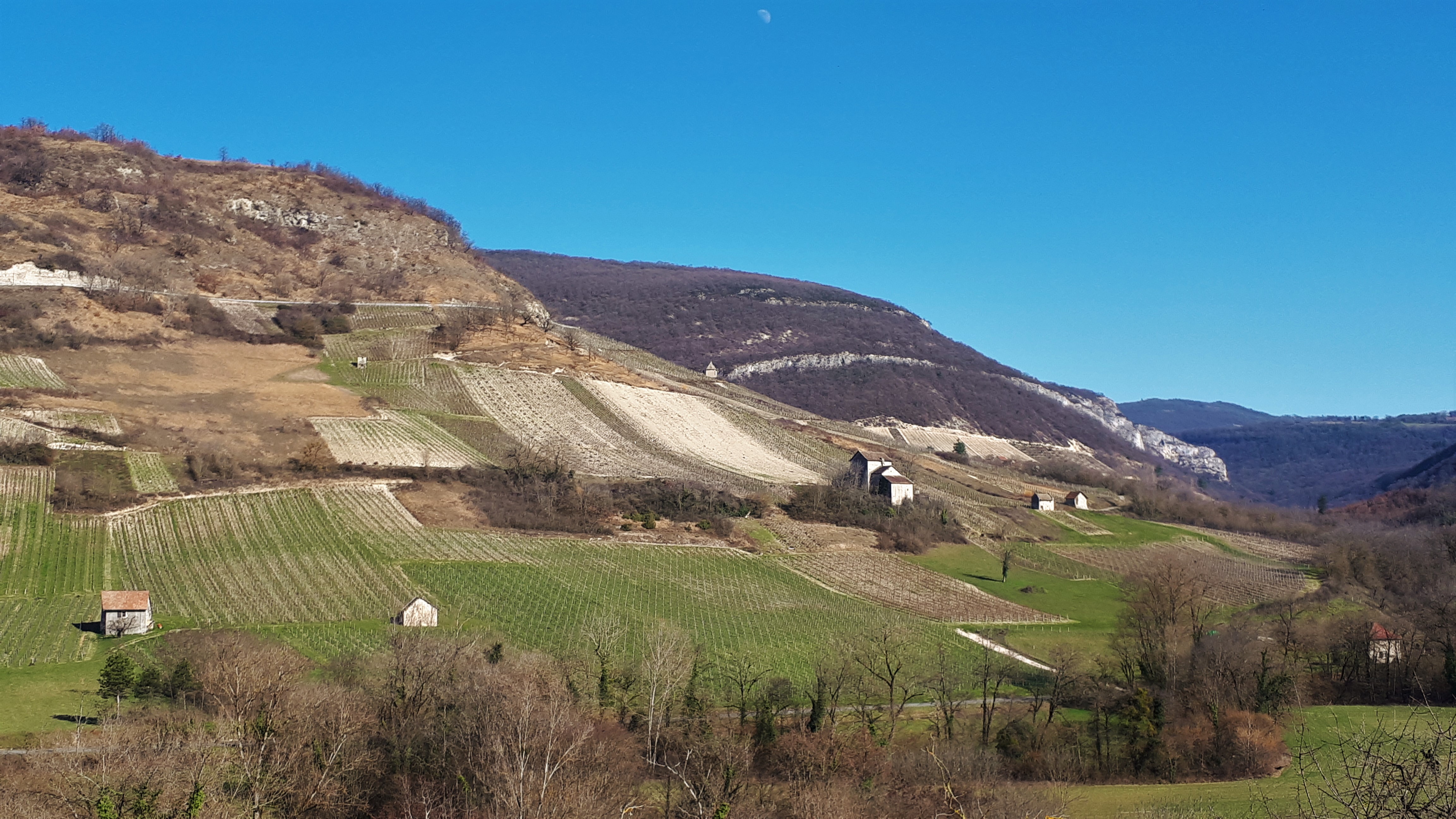 Sentier-patrimoine-Briord-vallée brive-vignes Seilllonnaz 1_Sabrina Megani