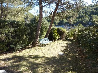 Hémérocalles, Vauvenargues - photo 4