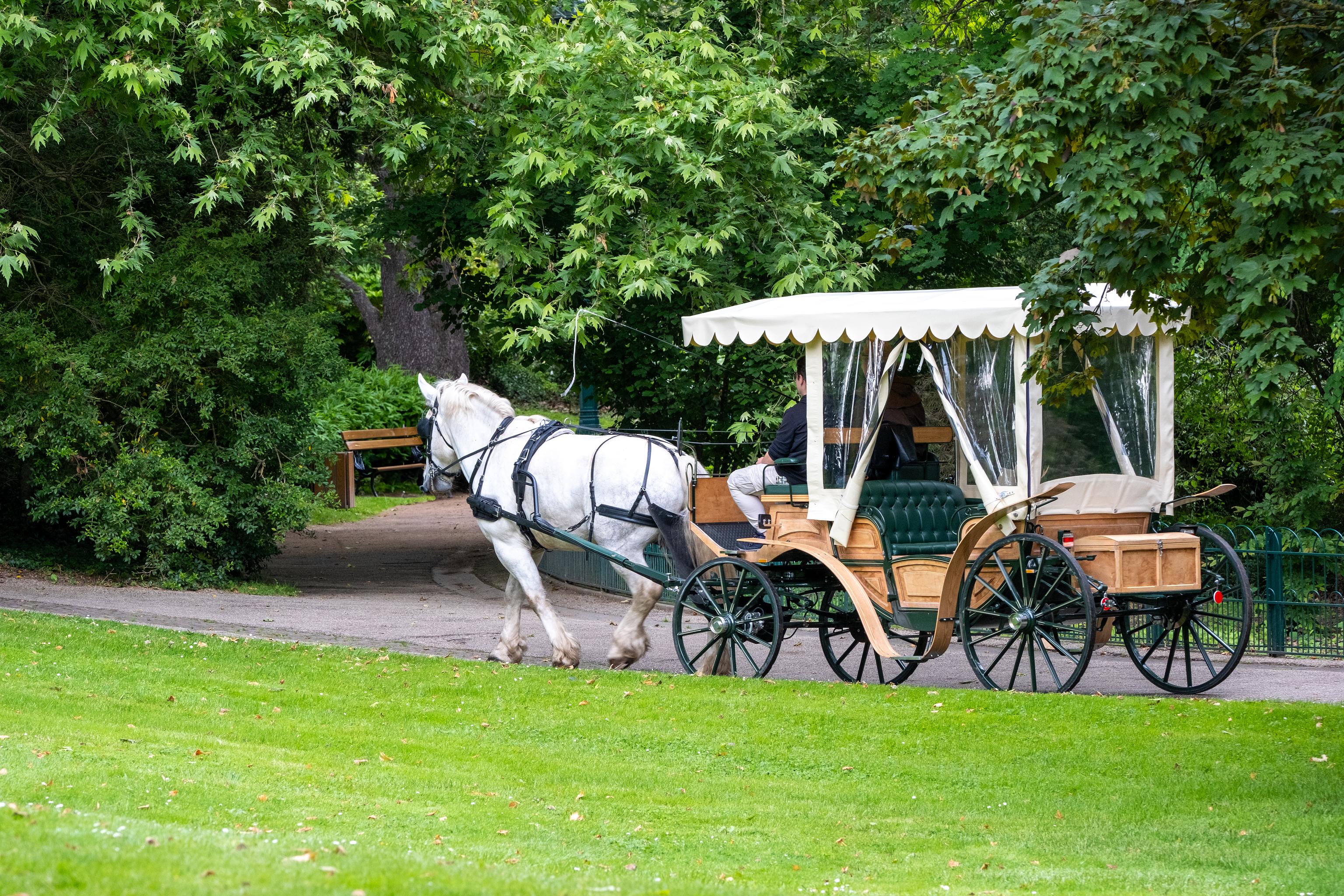 Visite guidée : "Second Empire, Belle Époque, Âge d'Or de Vichy"