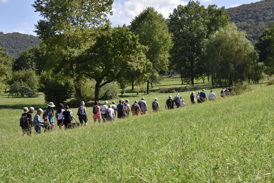 http://Marais%20et%20rivière