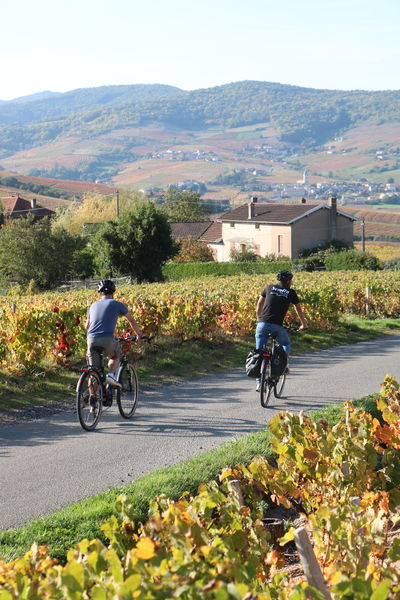 A vélo électrique sur le Mont Brouilly
