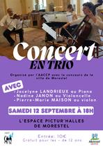 Concert en trio à l'espace Pictur'halles de Morestel_Morestel