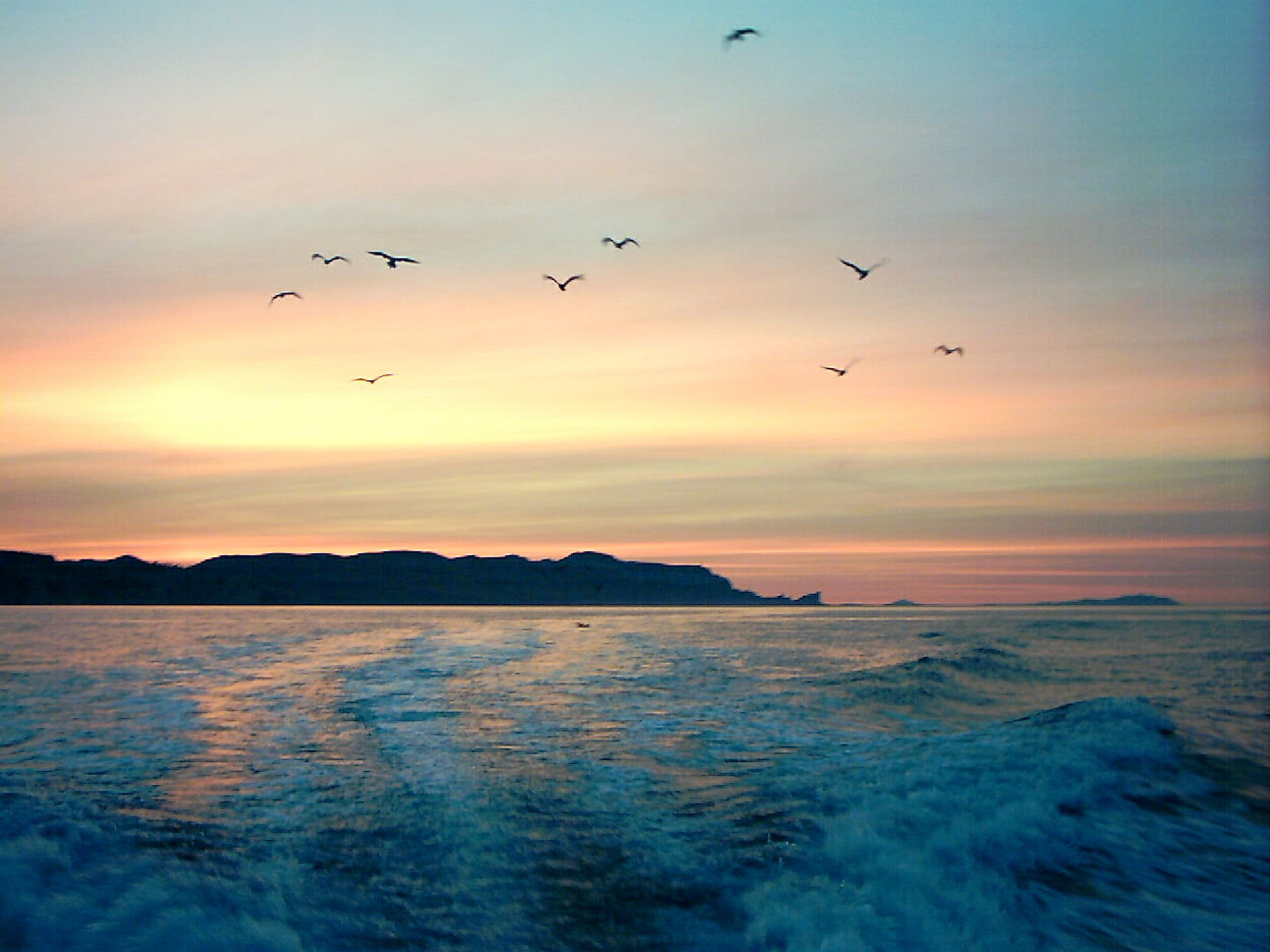 Activité Pêche Promenade Calanques - photo 5