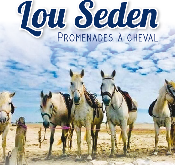 Lou Seden