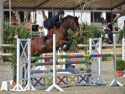 Centre équestre des Collets Rouges - photo 2