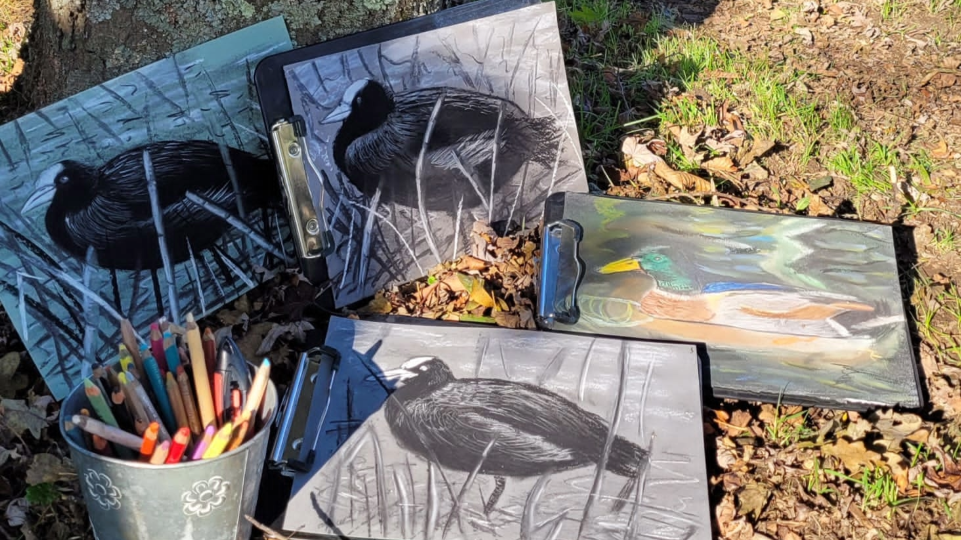 La Dombes se dessine
