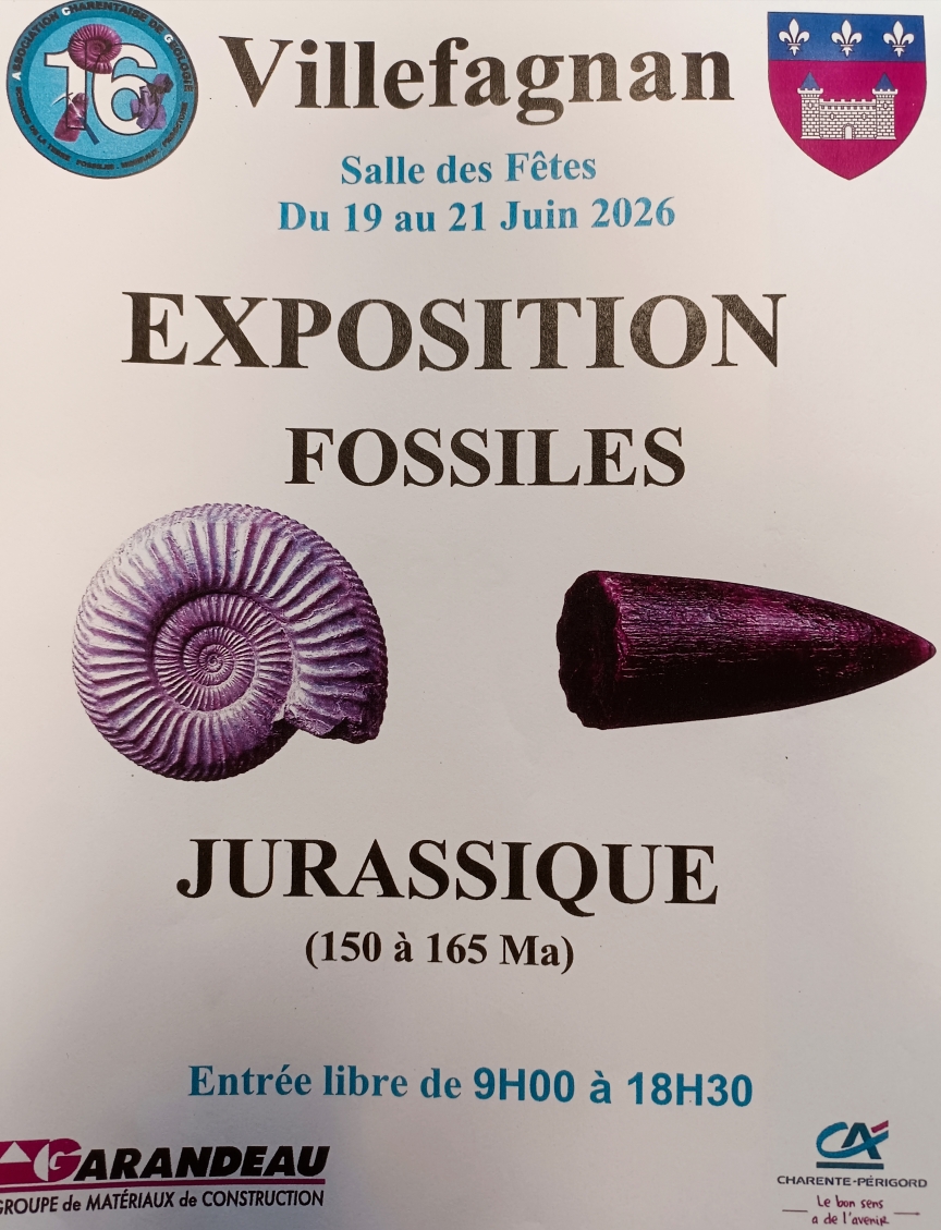 Exposition de fossiles