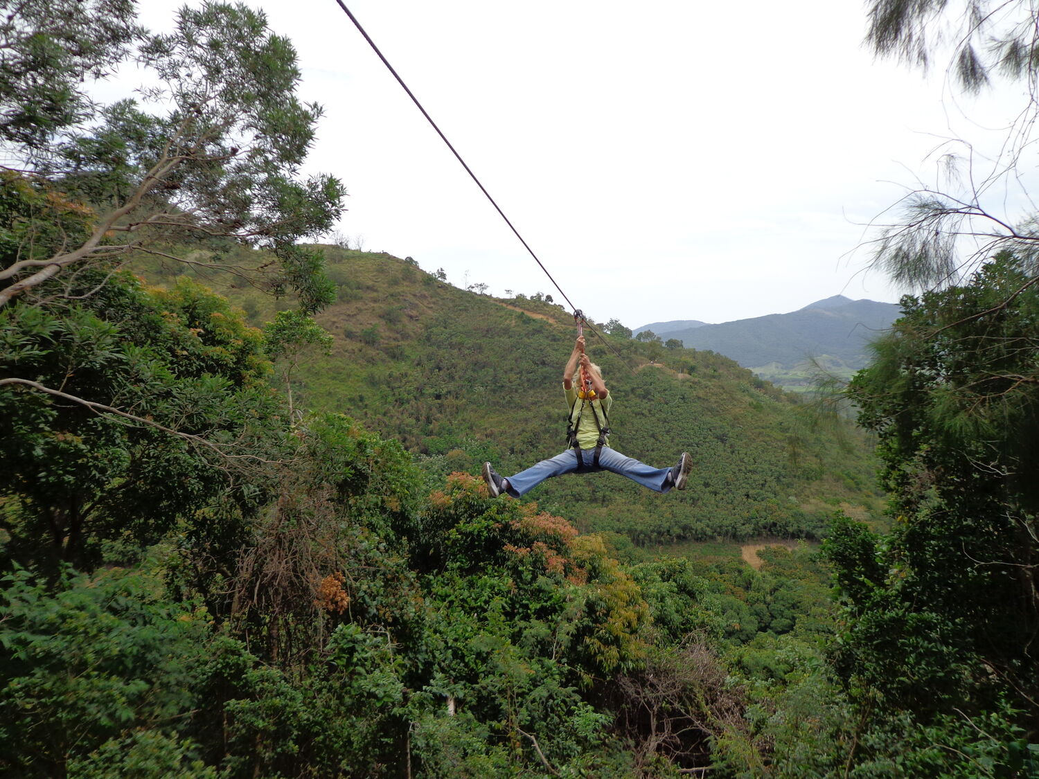 ミュージック fourleaves praivatetour in new caledonia La Belle Verte Canopy Tours (Païta) | New Caledonia Tourism
