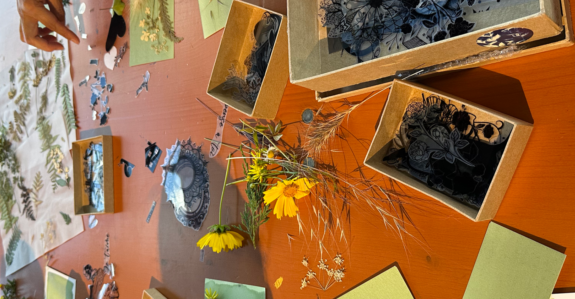 Atelier cyanotype avec Carasco