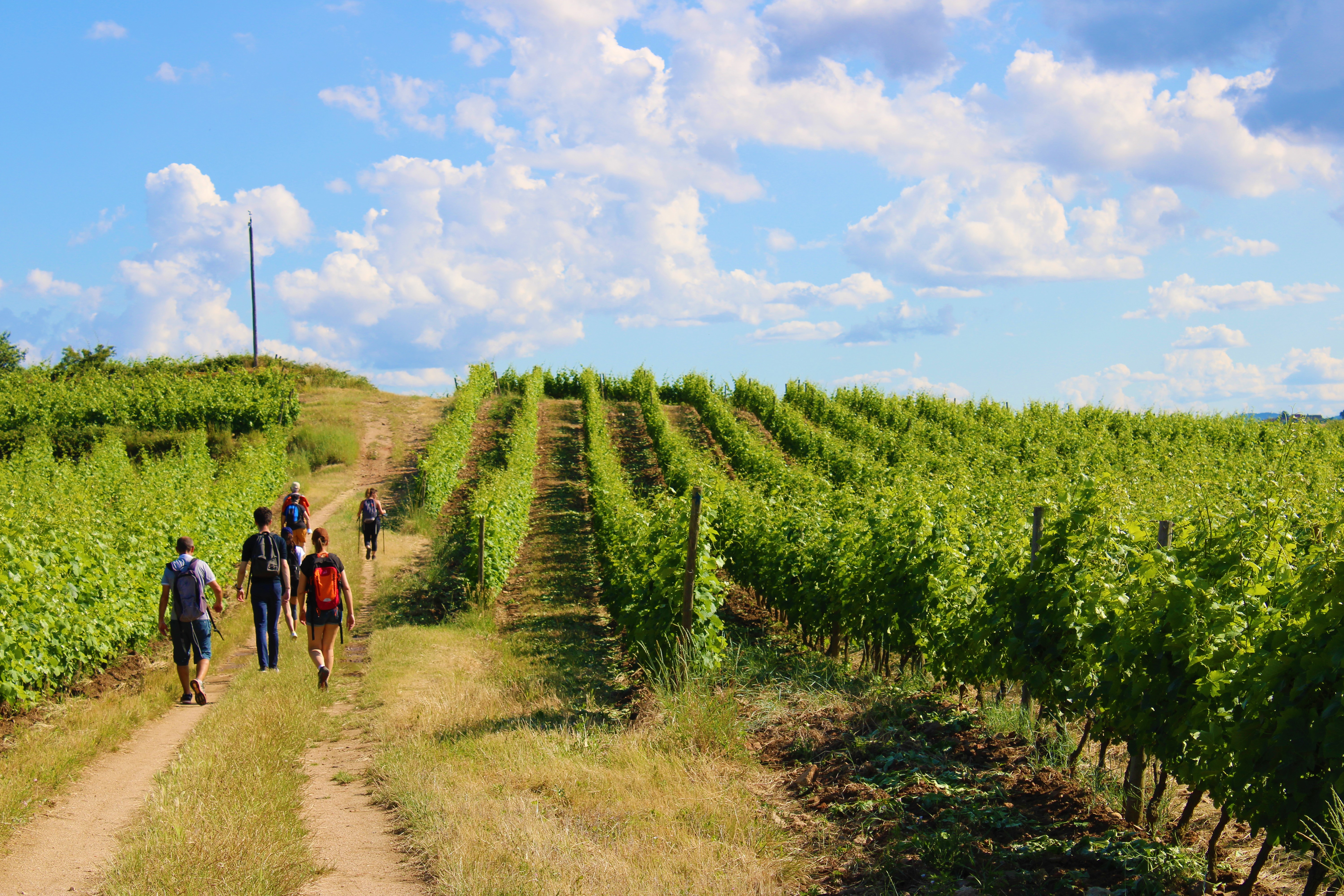 Rando Wine au Domaine François Grenier