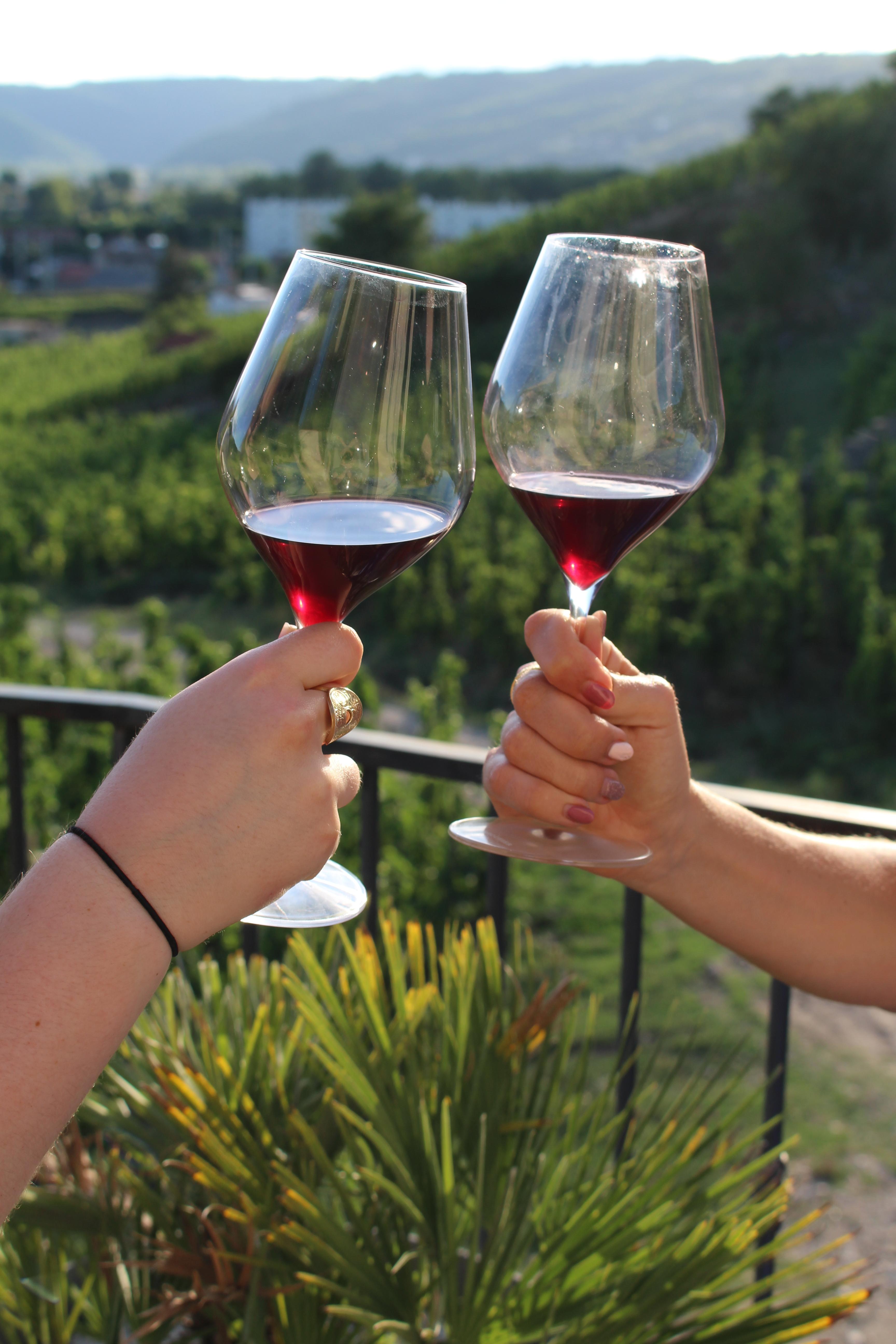 Apéro-vignes au Domaine Goudard