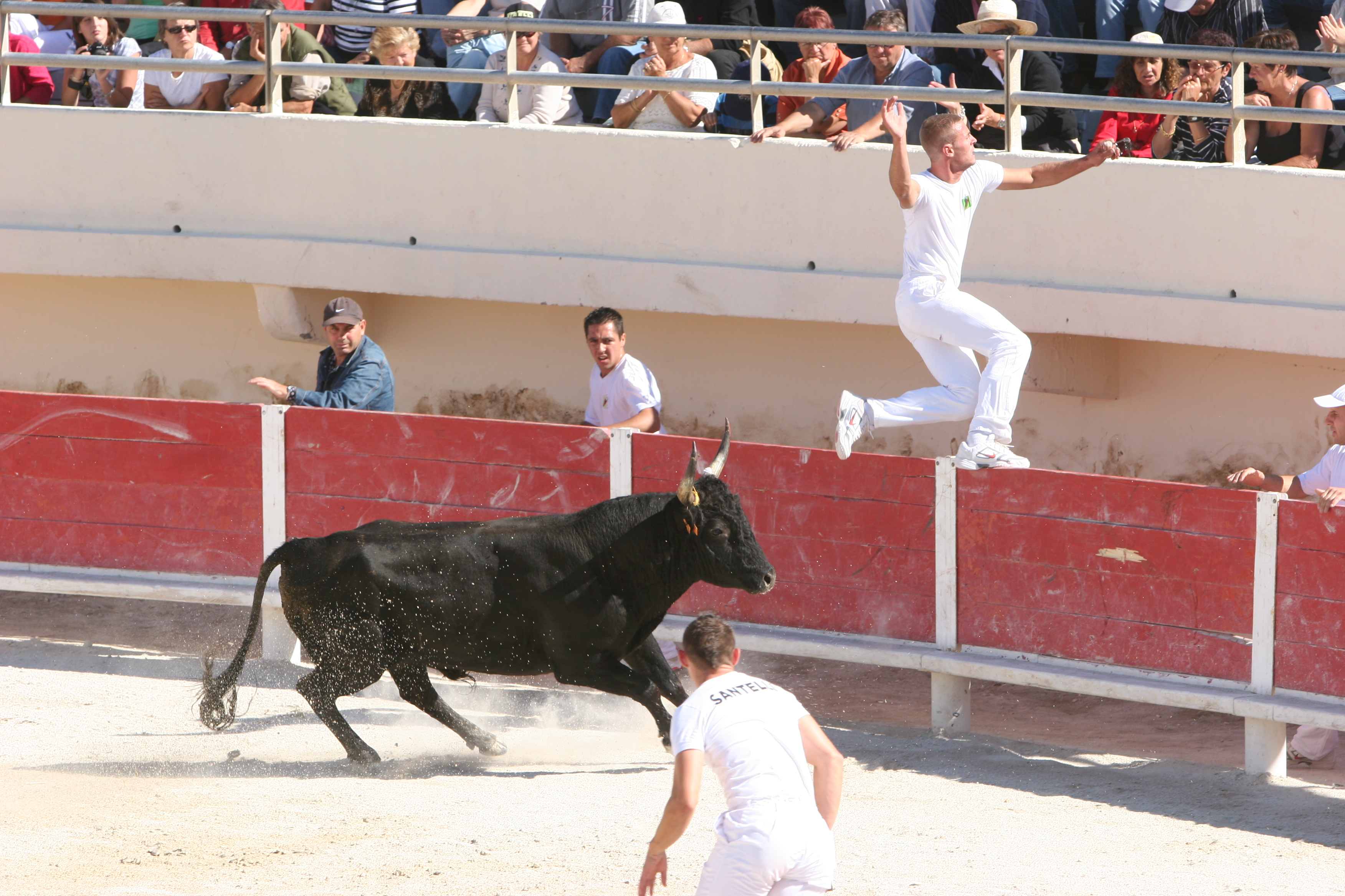 Journée Taurine caritative