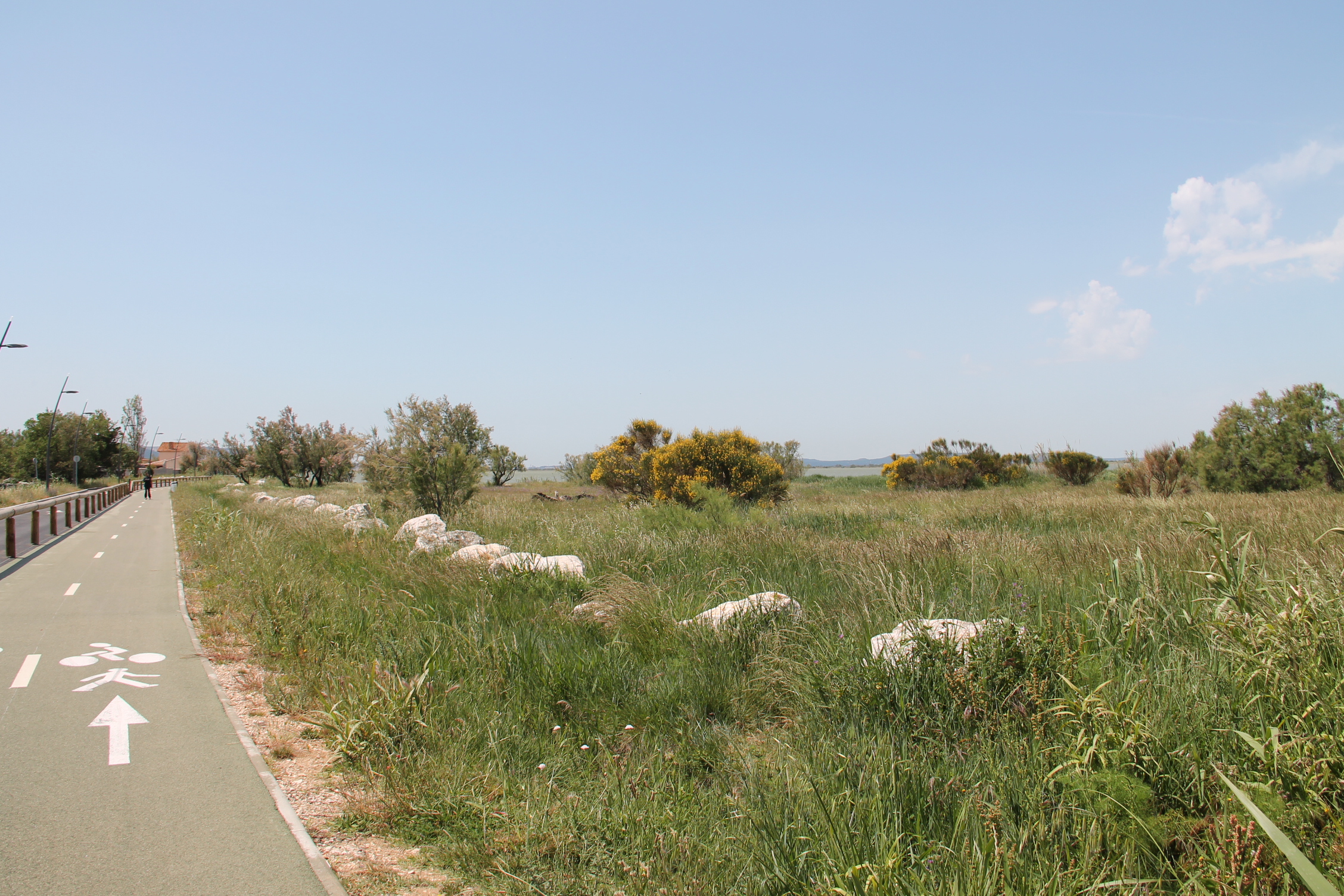 Bouches-du-Rhône en Paysages - Marignane, au fil de l'eau à vélo - photo 3