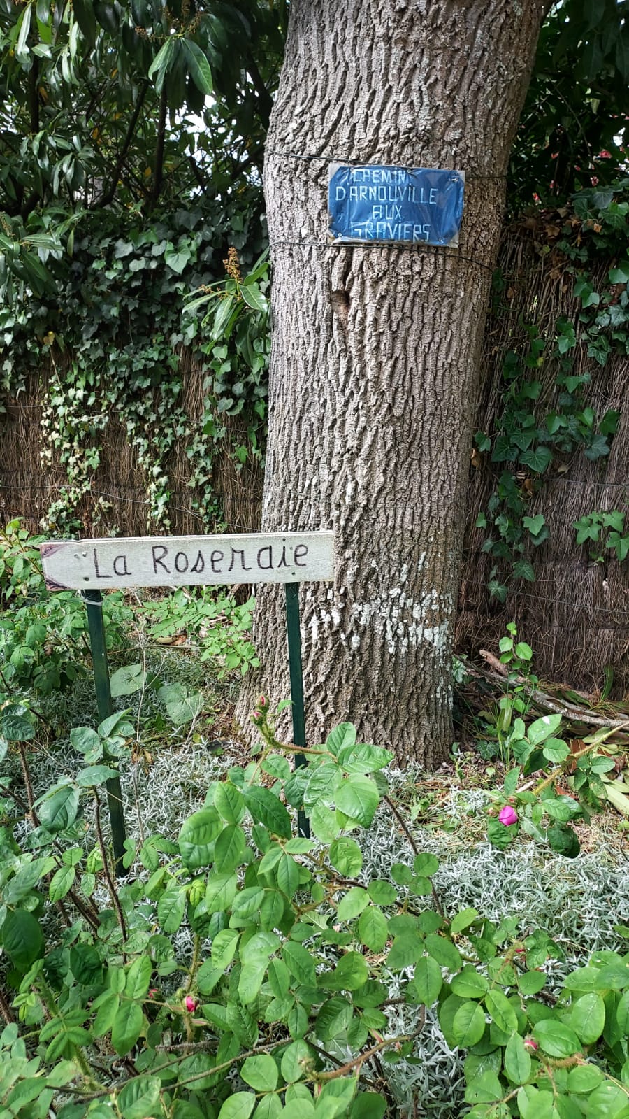 Roseraie du Clos Paradénia 4