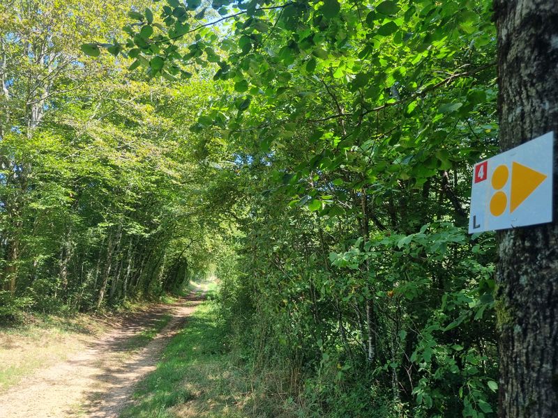 Les grandes terres de Marboz