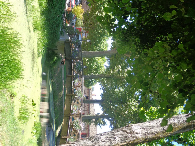 Fleurissement Vonnas