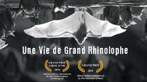 Animation nature "La pollution lumineuse vue par une chauve-souris" : soirée ci…