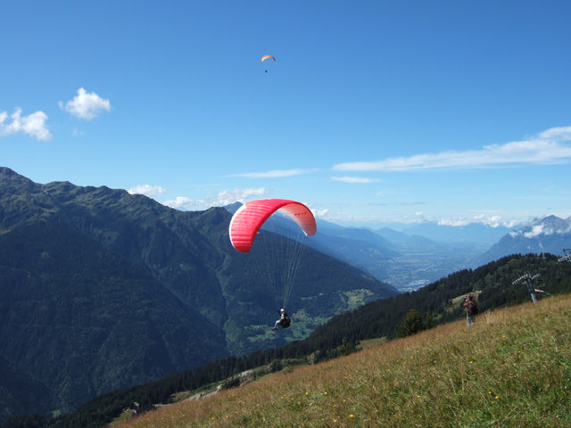 Les Volatiles